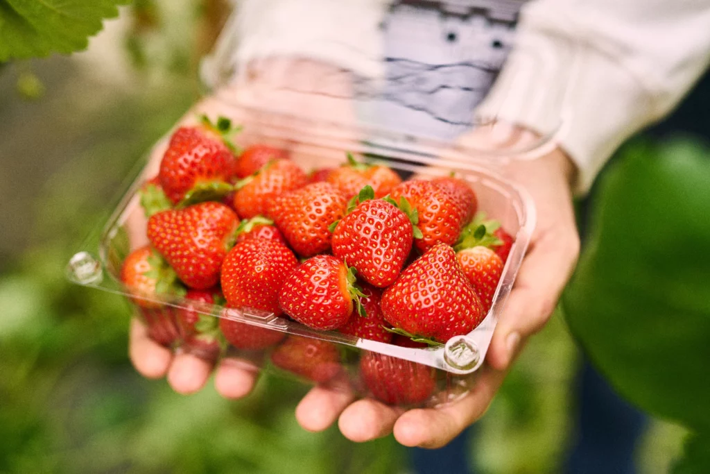Fresas de Mendigorría - 500g